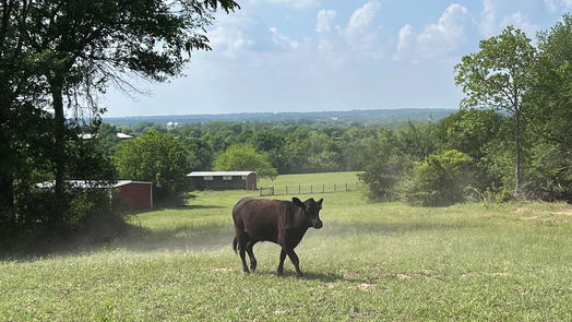 Navasota null-story, null-bed 2142 County Road 306-idx