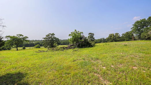 Navasota null-story, null-bed TBD County Road 407-idx