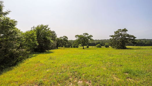 Navasota null-story, null-bed TBD County Road 407-idx