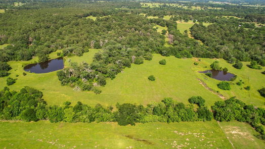 Navasota null-story, null-bed TBD County Road 407-idx