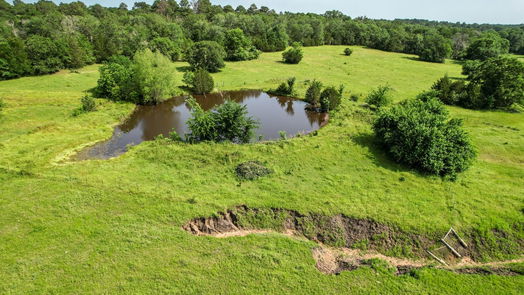 Navasota null-story, null-bed TBD County Road 407-idx