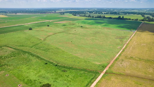 Navasota null-story, null-bed TBD County Road 327-idx