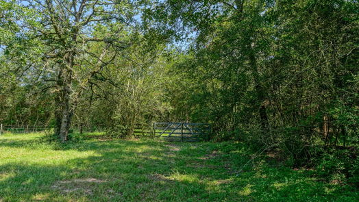 Navasota null-story, null-bed 31304 Courtney Rd-idx