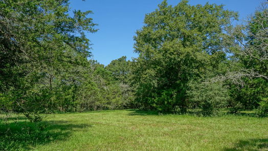 Navasota null-story, null-bed 31304 Courtney Rd-idx