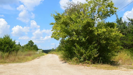 Navasota null-story, null-bed 000235 Cypresswood Drive-idx