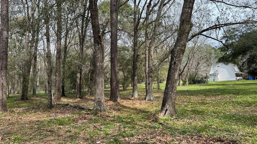 Navasota 2-story, 2-bed 5178 Pine Valley Drive-idx