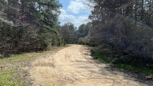 Navasota 2-story, 2-bed 5178 Pine Valley Drive-idx