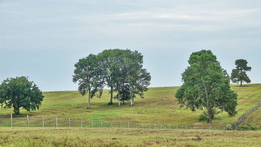 Navasota null-story, null-bed 3896 County Road 305 Tract 1-idx