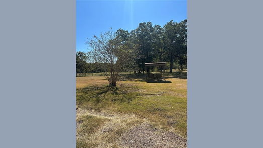 Navasota 1-story, 3-bed 2555 Weesaw Lane-idx