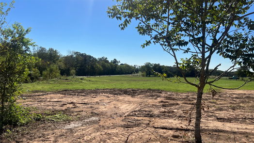 Navasota null-story, null-bed Lot 2 CR 319-idx