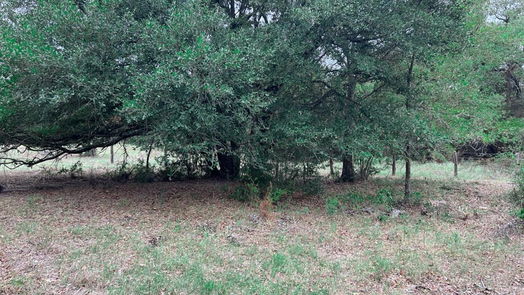 Richards null-story, null-bed Tract #4 FM 2562 Road-idx