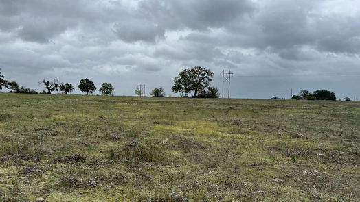 Richards null-story, null-bed Tract #4 FM 2562 Road-idx