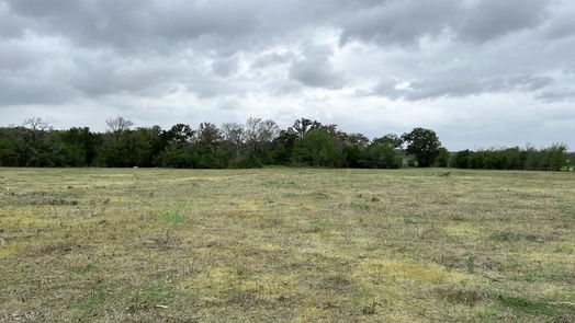 Richards null-story, null-bed Tract #4 FM 2562 Road-idx