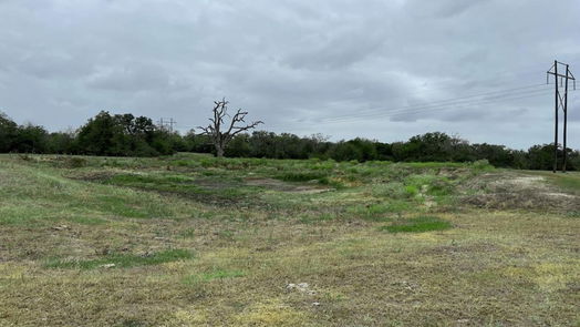 Richards null-story, null-bed Tract #4 FM 2562 Road-idx