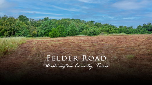Washington null-story, null-bed Tr 17 Felder Road-idx