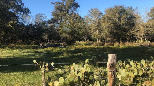 Fayetteville null-story, null-bed TBD Kickler Rd-idx