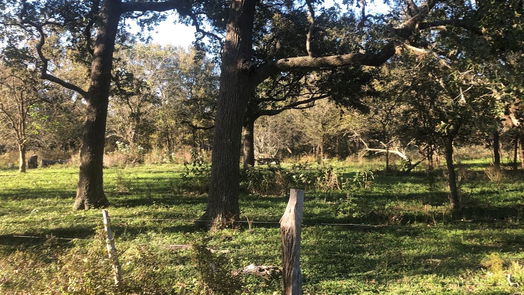 Fayetteville null-story, null-bed TBD Kickler Rd-idx