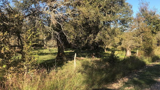 Fayetteville null-story, null-bed TBD Kickler Rd-idx