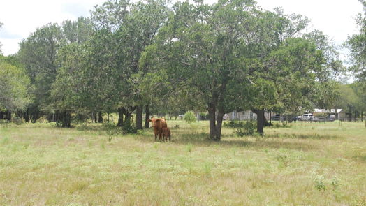 Flatonia null-story, null-bed TBD N State Highway 95-idx