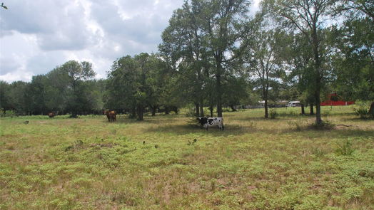 Flatonia null-story, null-bed TBD N State Highway 95-idx