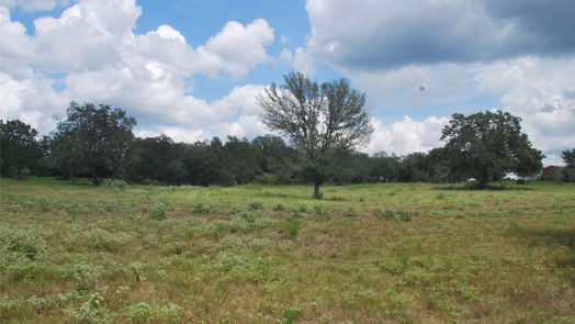 Flatonia null-story, null-bed TBD N State Highway 95-idx