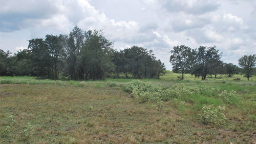 Flatonia null-story, null-bed TBD N State Highway 95-idx