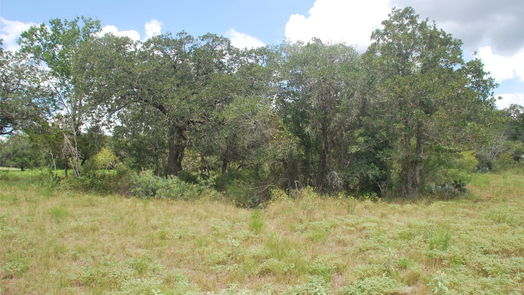 Flatonia null-story, null-bed TBD N State Highway 95-idx