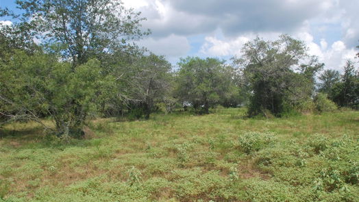 Flatonia null-story, null-bed TBD N State Highway 95-idx