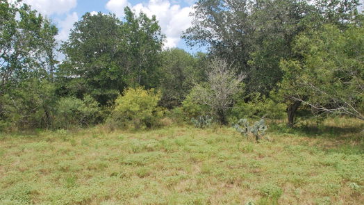 Flatonia null-story, null-bed TBD N State Highway 95-idx