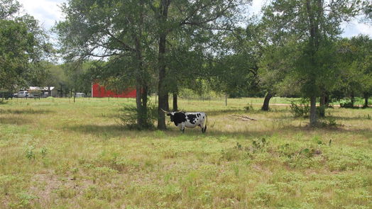 Flatonia null-story, null-bed TBD N State Highway 95-idx