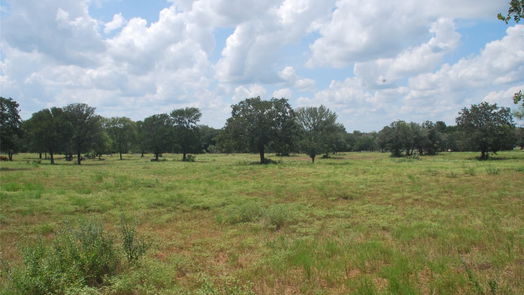 Flatonia null-story, null-bed TBD N State Highway 95-idx