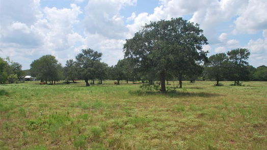 Flatonia null-story, null-bed TBD N State Highway 95-idx