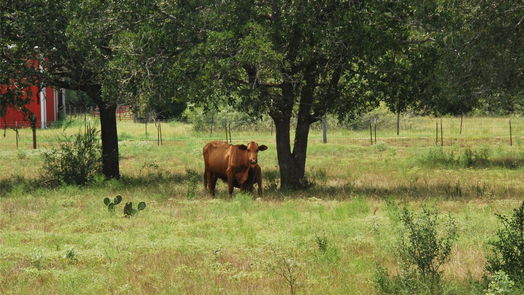 Flatonia null-story, null-bed TBD N State Highway 95-idx