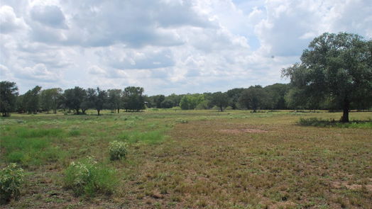 Flatonia null-story, null-bed TBD N State Highway 95-idx