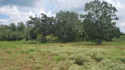 Flatonia null-story, null-bed TBD N State Highway 95-idx