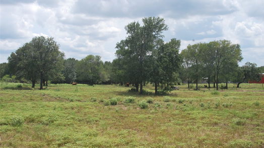 Flatonia null-story, null-bed TBD N State Highway 95-idx