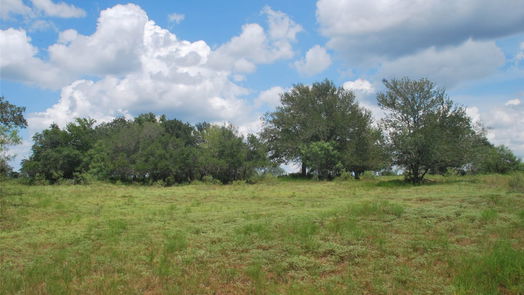 Flatonia null-story, null-bed TBD N State Highway 95-idx