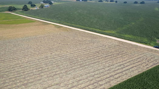 Plum null-story, null-bed Lot 4 Frances Road-idx