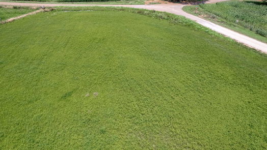 Plum null-story, null-bed Lot 4 Frances Road-idx