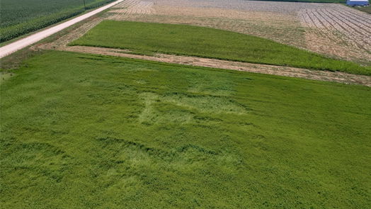 Plum null-story, null-bed Lot 4 Frances Road-idx