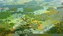 Homes over $1M-1