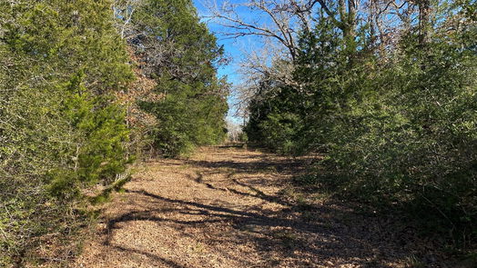 Lexington null-story, null-bed TBD Creekside Lane-idx