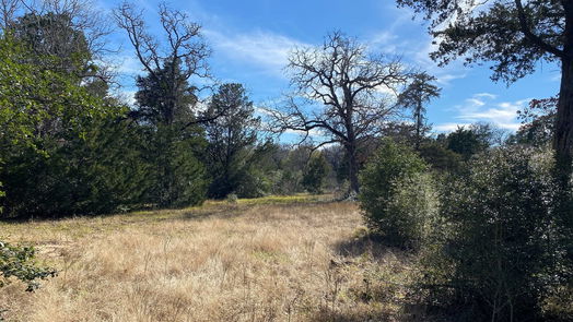 Lexington null-story, null-bed TBD Creekside Lane-idx