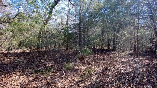Lexington null-story, null-bed TBD Creekside Lane-idx