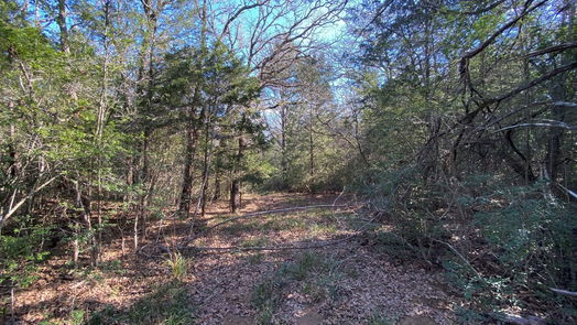 Lexington null-story, null-bed TBD Creekside Lane-idx