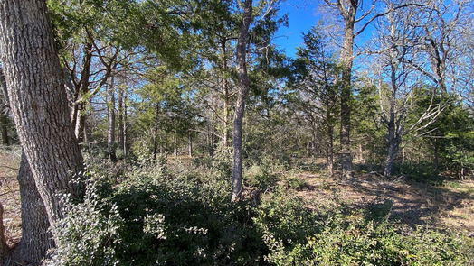 Lexington null-story, null-bed TBD Creekside Lane-idx