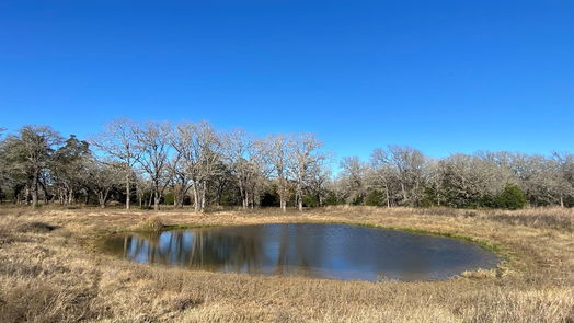 Lexington null-story, null-bed TBD Creekside Lane-idx