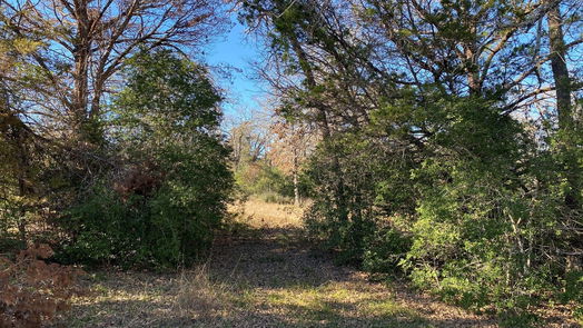 Lexington null-story, null-bed TBD Creekside Lane-idx