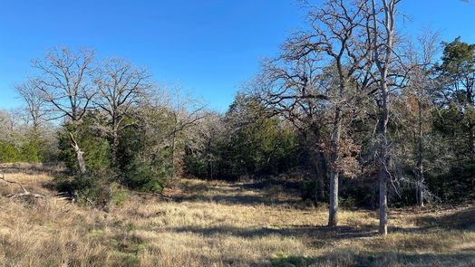 Lexington null-story, null-bed TBD Creekside Lane-idx
