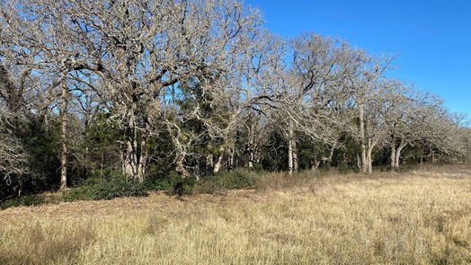 Lexington null-story, null-bed TBD Creekside Lane-idx